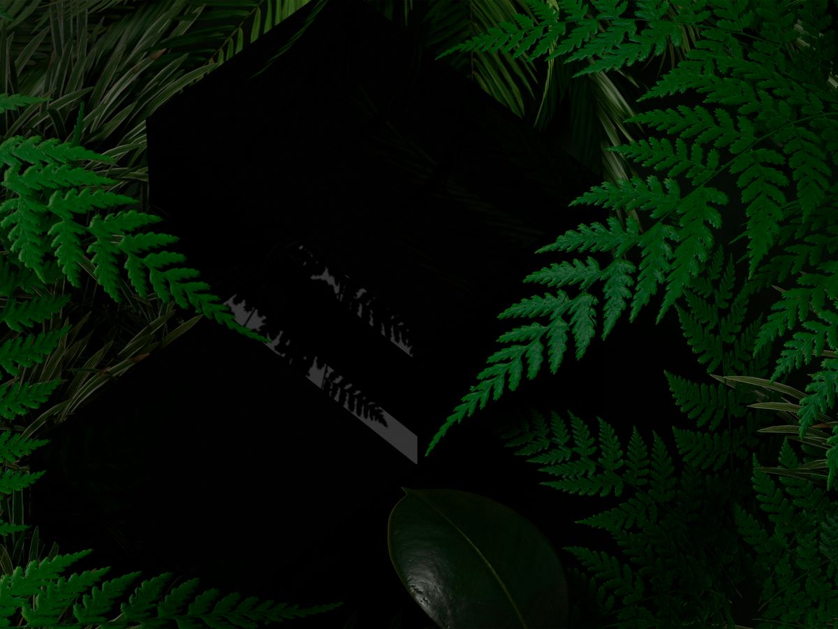 a black box surrounded by green plants and leaves