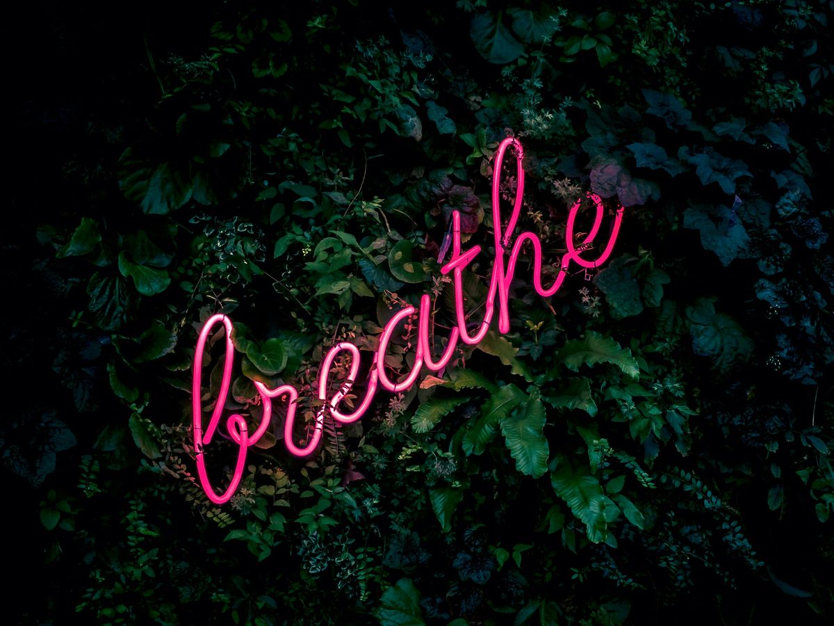 pink breathe neon sign